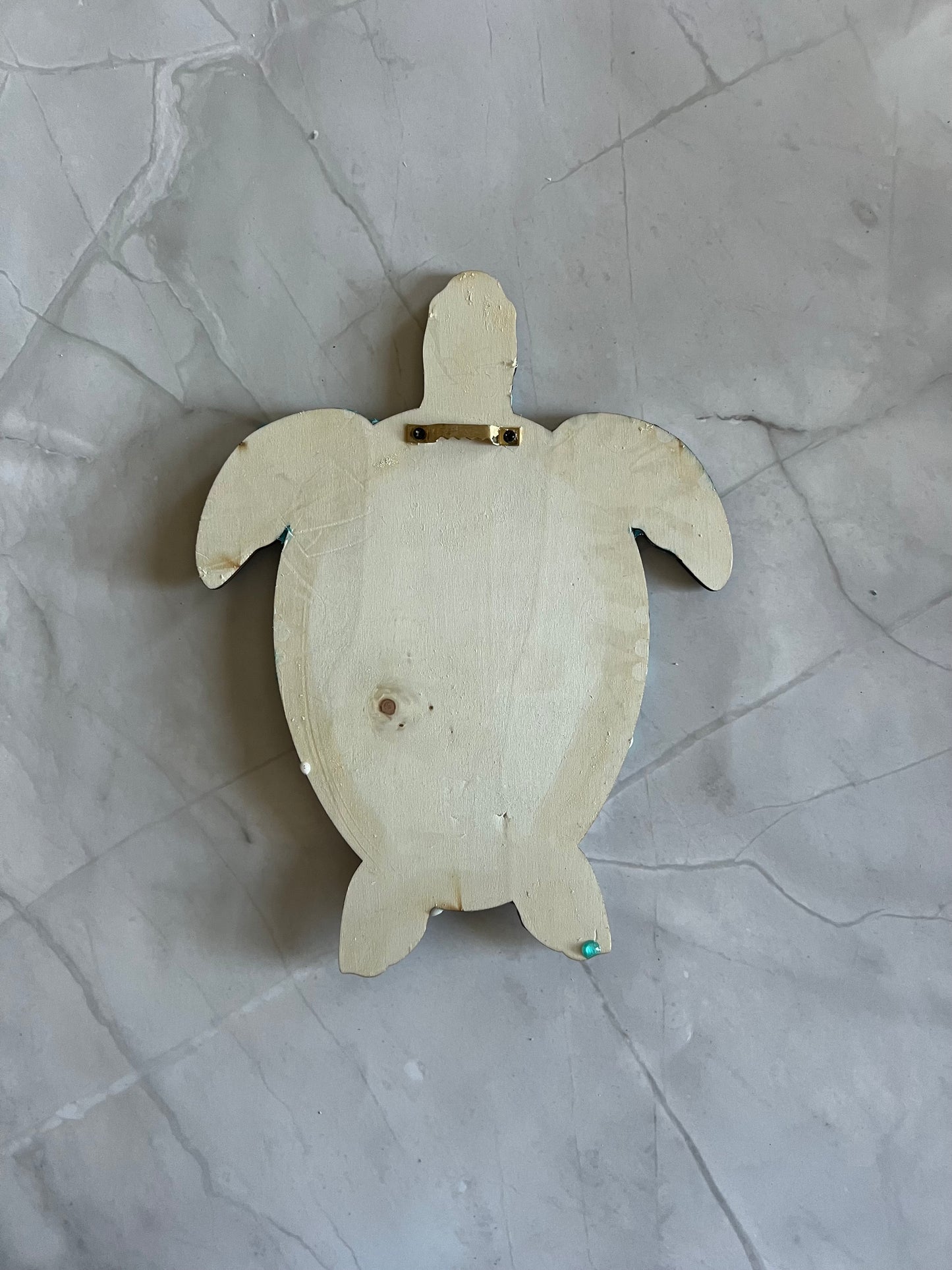 Fun Turtle Wall Art